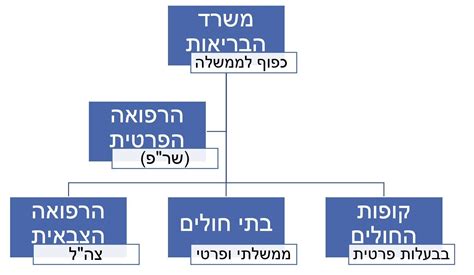 מבנה מערכת הבריאות בישראל